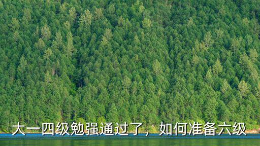 大一四级勉强通过了，如何准备六级