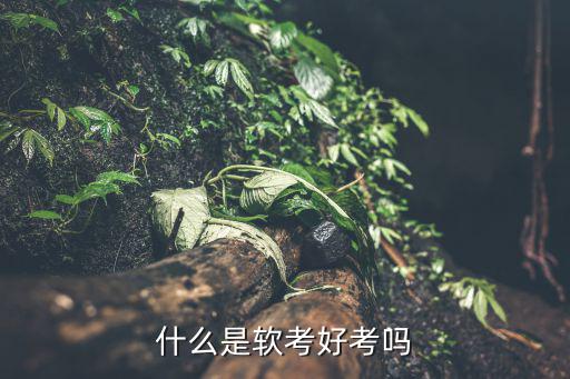 什么是软考好考吗
