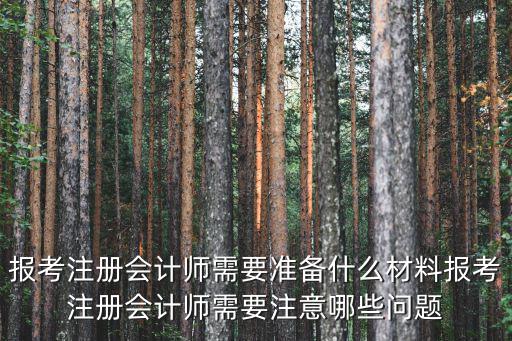 报考注册会计师需要准备什么材料报考注册会计师需要注意哪些问题