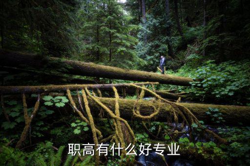 职高有什么好专业
