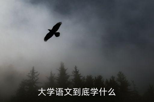 大二大学语文考什么,打算以后考研考学科语文