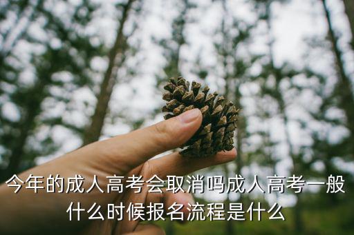 成人高考什么时候学信查询,成人高考一般什么时候报名