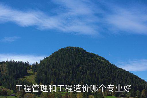 工程管理和工程造价哪个专业好