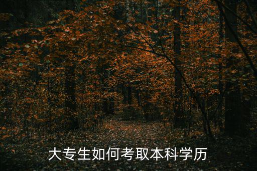 在职大专生怎么考本科,大专生如何考取本科学历