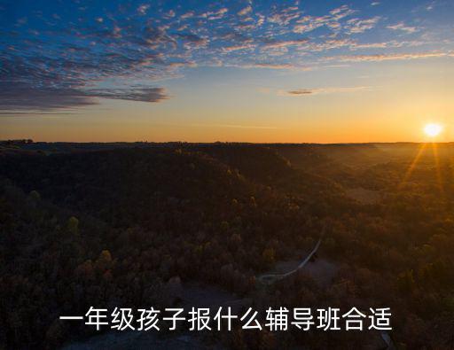 一年级孩子报什么辅导班合适