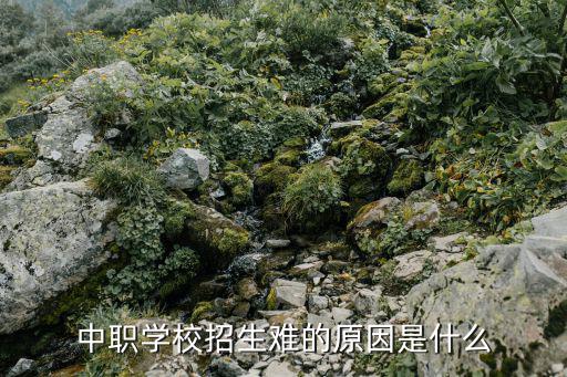 中职学校招生难的原因是什么