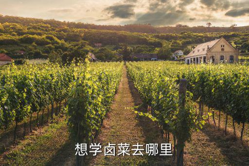 想学卤菜去哪里