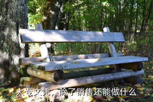 没有大专文凭做什么,大专文凭有哪些用处