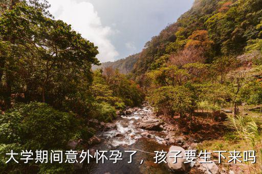 在上海大学读研怀孕了怎么半,大学期间意外怀孕了