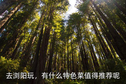 去浏阳玩，有什么特色菜值得推荐呢