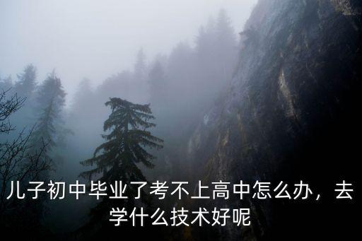 初中毕业没学上怎么办,初中没毕业怎么办