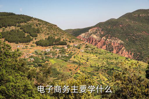 电子商务主要学什么