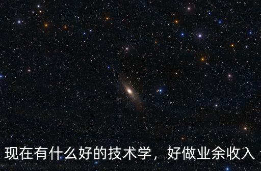 现在有什么好的技术学，好做业余收入
