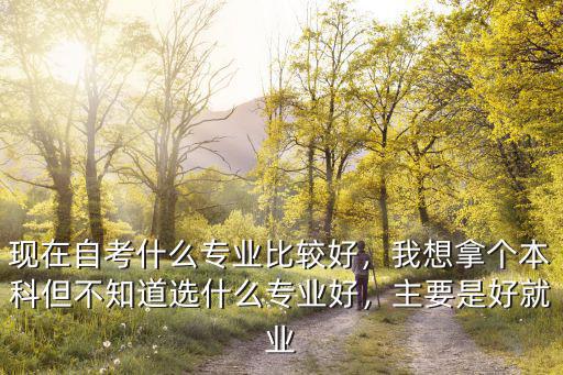 现在自考什么专业比较好，我想拿个本科但不知道选什么专业好，主要是好就业