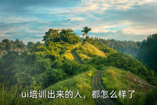 ui培训出来的人，都怎么样了