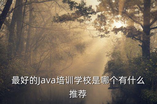 天津java培训学校在哪里,JAVA培训哪里好