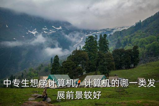 中专生想学计算机，计算机的哪一类发展前景较好