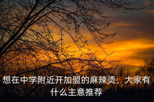 想在中学附近开加盟的麻辣烫，大家有什么主意推荐