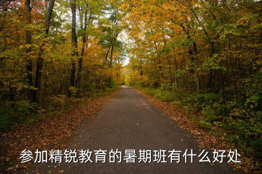 参加精锐教育的暑期班有什么好处