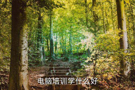 电脑培训学什么好