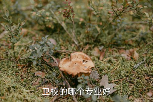 卫校读什么专业好,初中毕业读什么卫校比较好