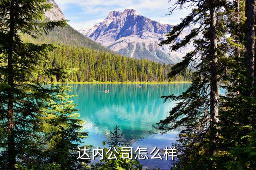 达内公司怎么样