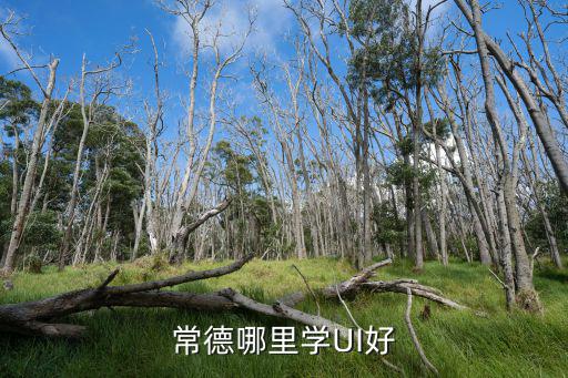 常德哪里学UI好