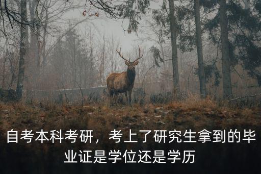 自考本科考研，考上了研究生拿到的毕业证是学位还是学历