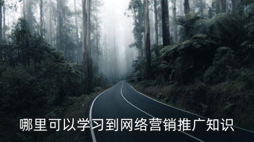 哪里可以学习到网络营销推广知识