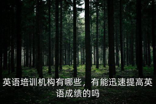 英语培训机构有哪些，有能迅速提高英语成绩的吗