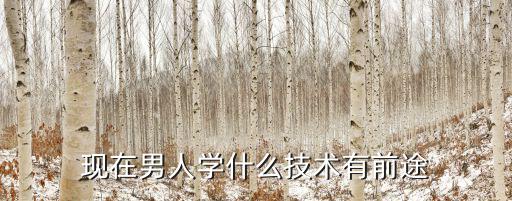 现在男人学什么技术有前途