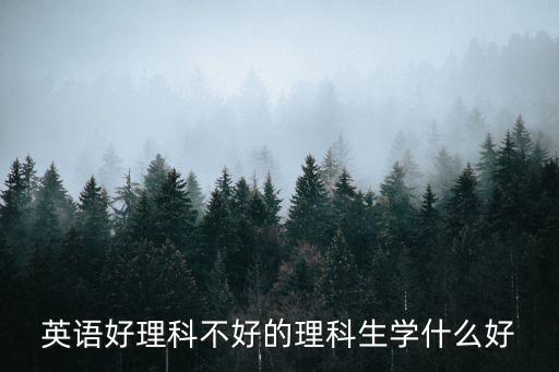 英语好理科不好的理科生学什么好