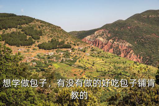 哪里学做包子最好吃,哪里可以学做包子技术