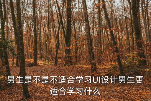 男生是不是不适合学习UI设计男生更适合学习什么