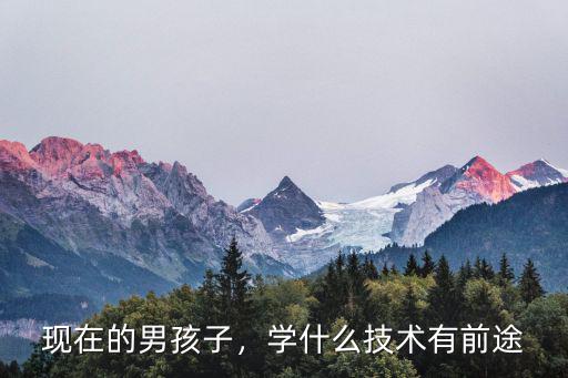 现在的男孩子，学什么技术有前途
