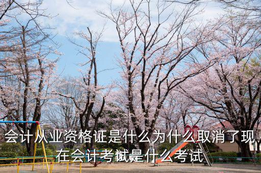 会计从业资格证是什么为什么取消了现在会计考试是什么考试