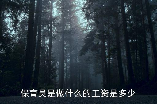 保育员是做什么的工资是多少