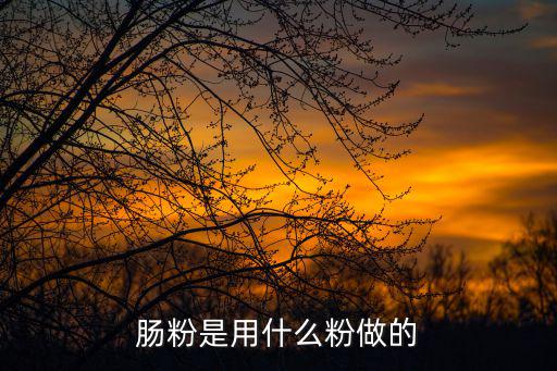 肠粉用什么粉做最好,肠粉是用什么粉做的