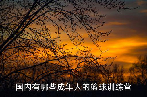 国内有哪些成年人的篮球训练营