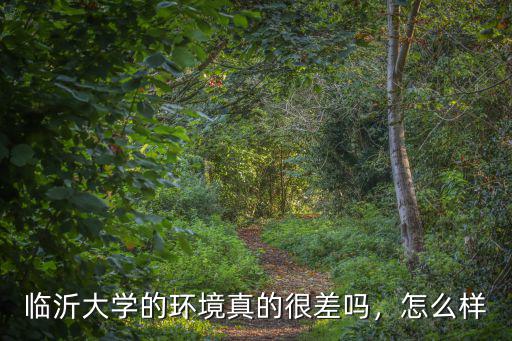 临沂大学的环境真的很差吗，怎么样