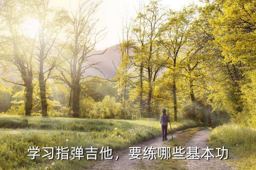 长春哪里学指弹吉他,学习指弹吉他