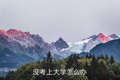 没考上大学怎么办