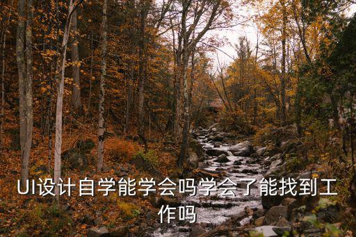 ui设计学会后能做什么,UI设计自学能学会吗