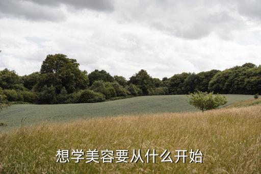 学美容刚去学什么好处,学美容有前途吗