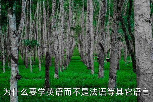 为什么要学英语而不是法语等其它语言
