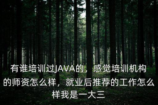 java培训讲师怎么样,参加培训的效果怎么样