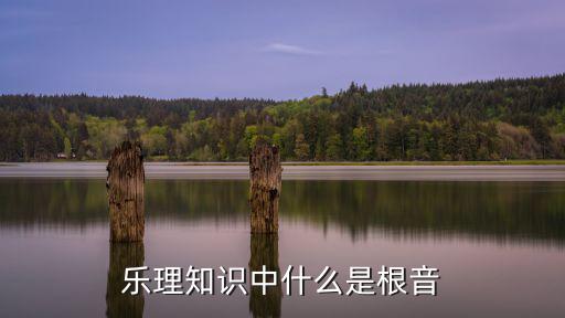 乐理知识中什么是根音