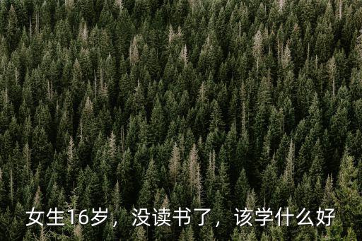 女生16岁，没读书了，该学什么好