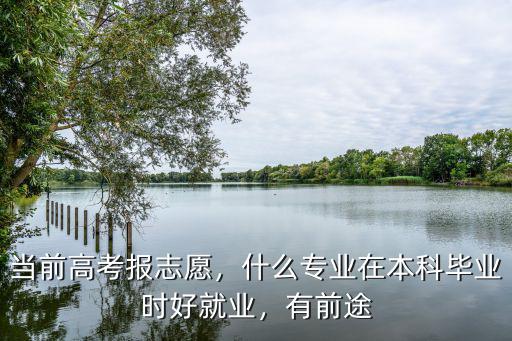 当前高考报志愿，什么专业在本科毕业时好就业，有前途