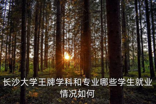 长沙大学王牌学科和专业哪些学生就业情况如何